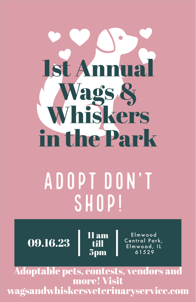 first annual wags and whiskers in the park