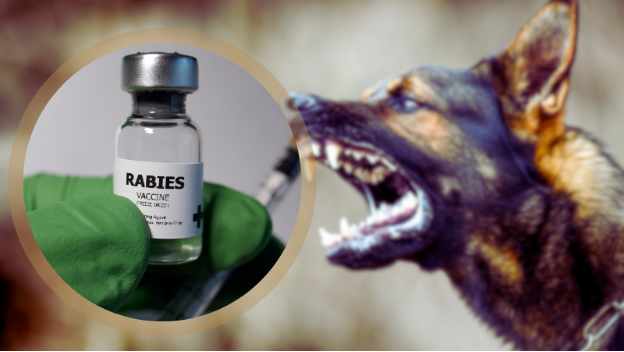 a rabies vaccine bottle superimposed over a dog barking, World Rabies Day