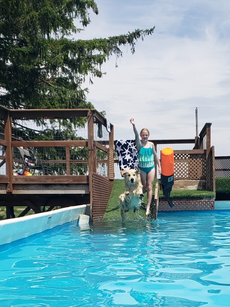 girl throwing toy in pool for dog to fetch who is diving after it