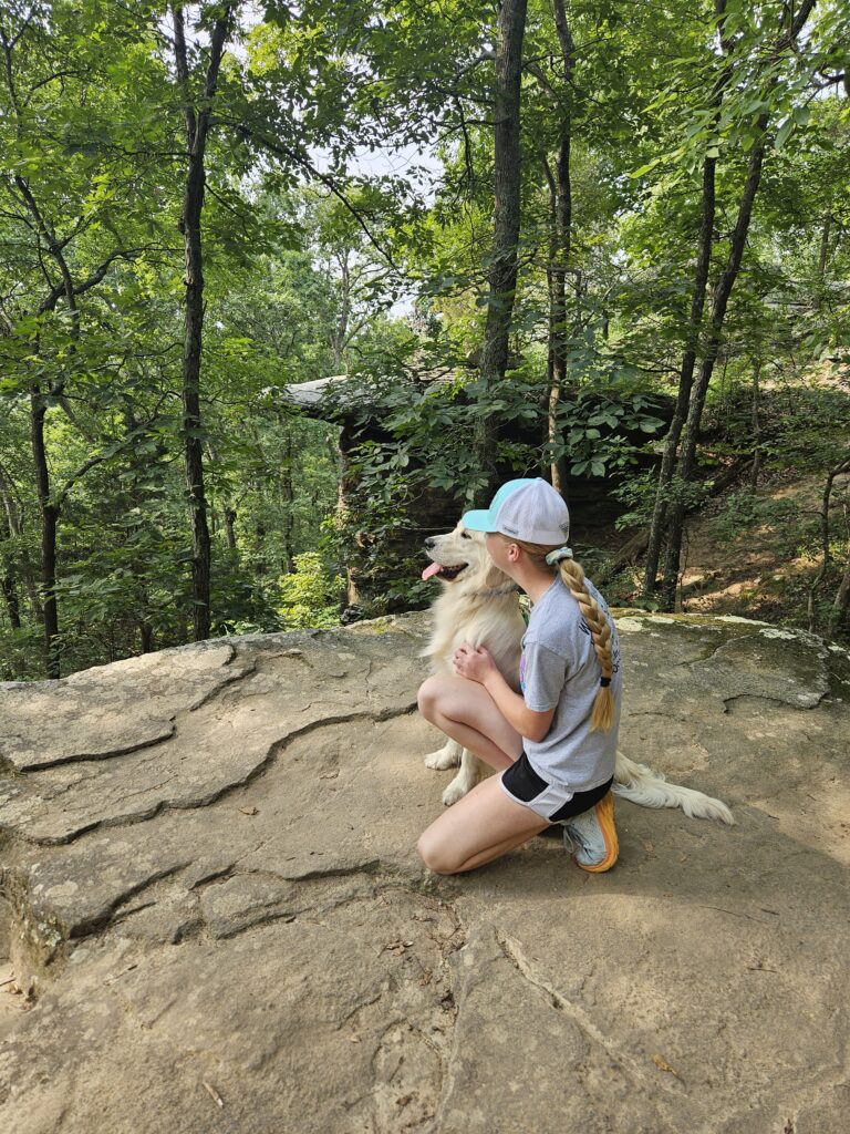 a person and their dog enjoying a scenic view in a forrest