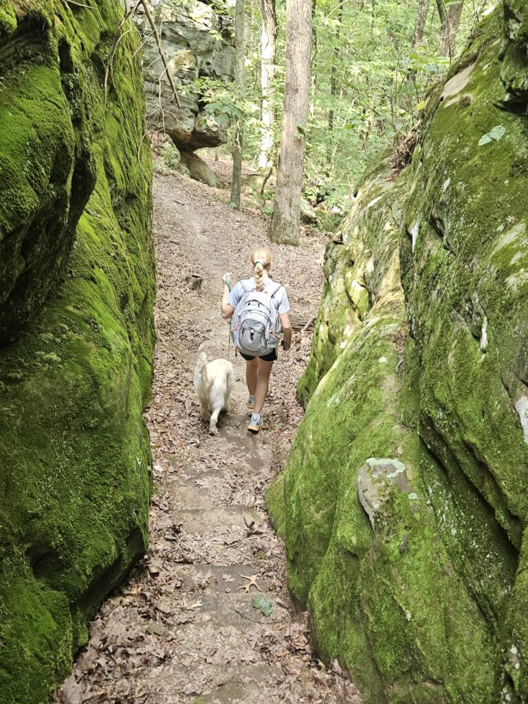 person and dog walking along a nature trail