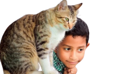 Our Pets Have Anxiety Too