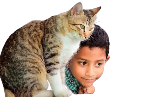 Our Pets Have Anxiety Too