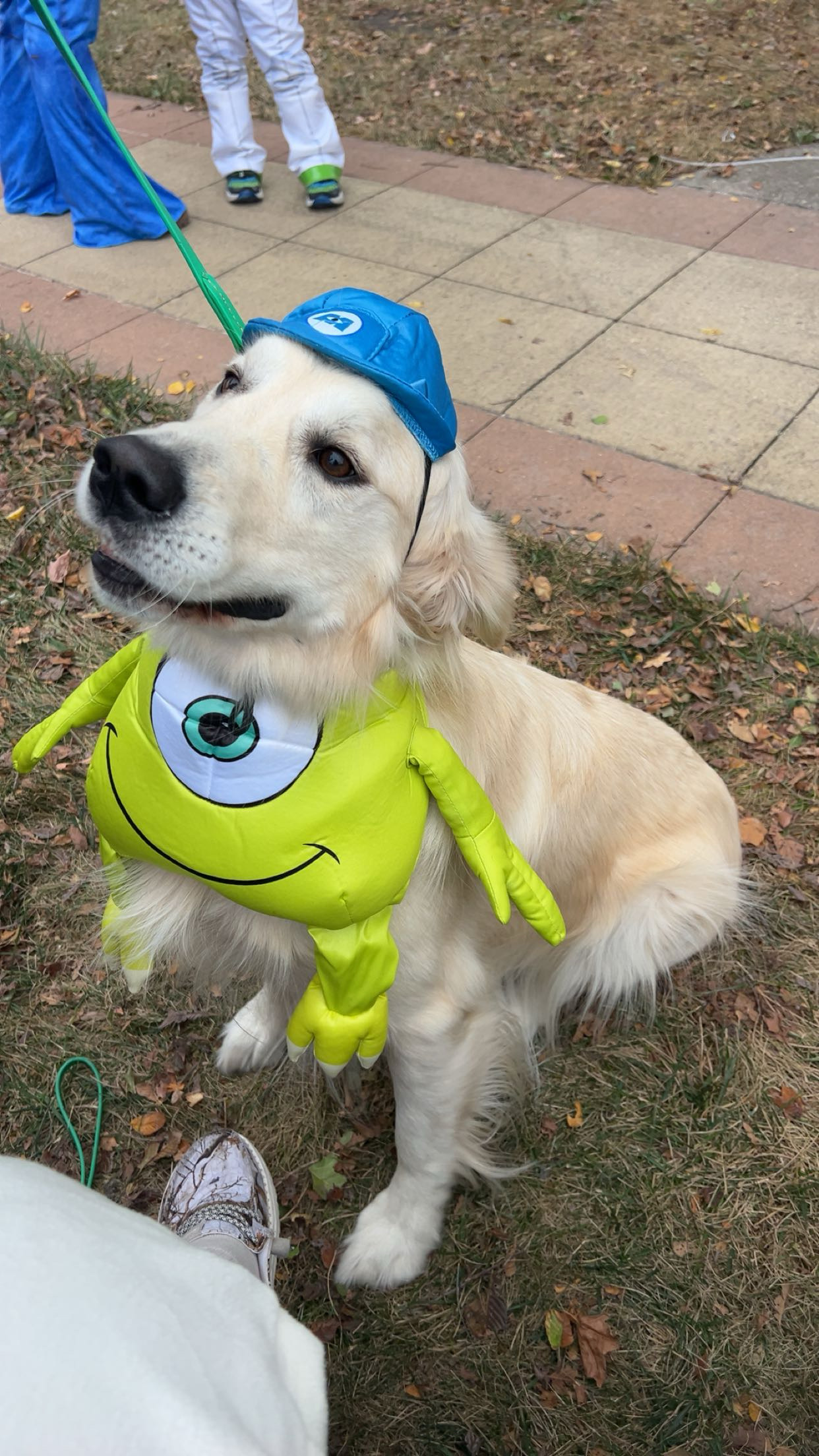 A dog in a monsters inc costume